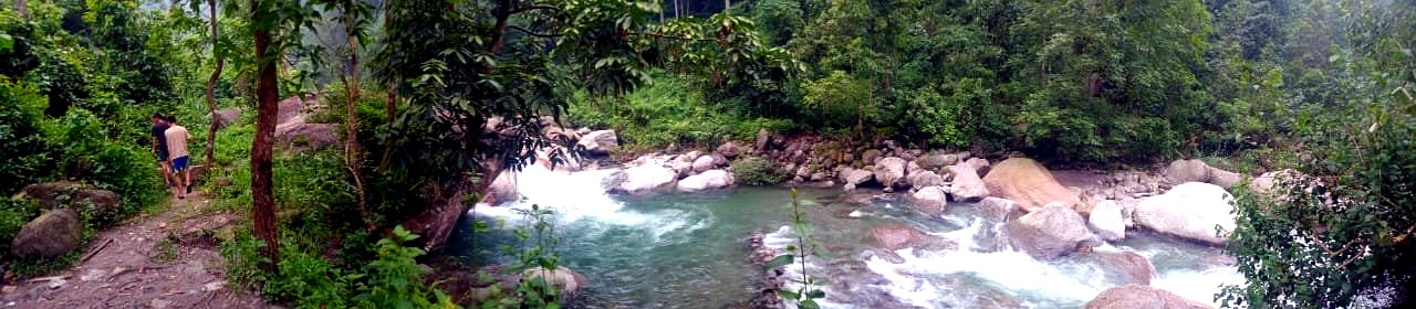 Gentle Mountain Stream